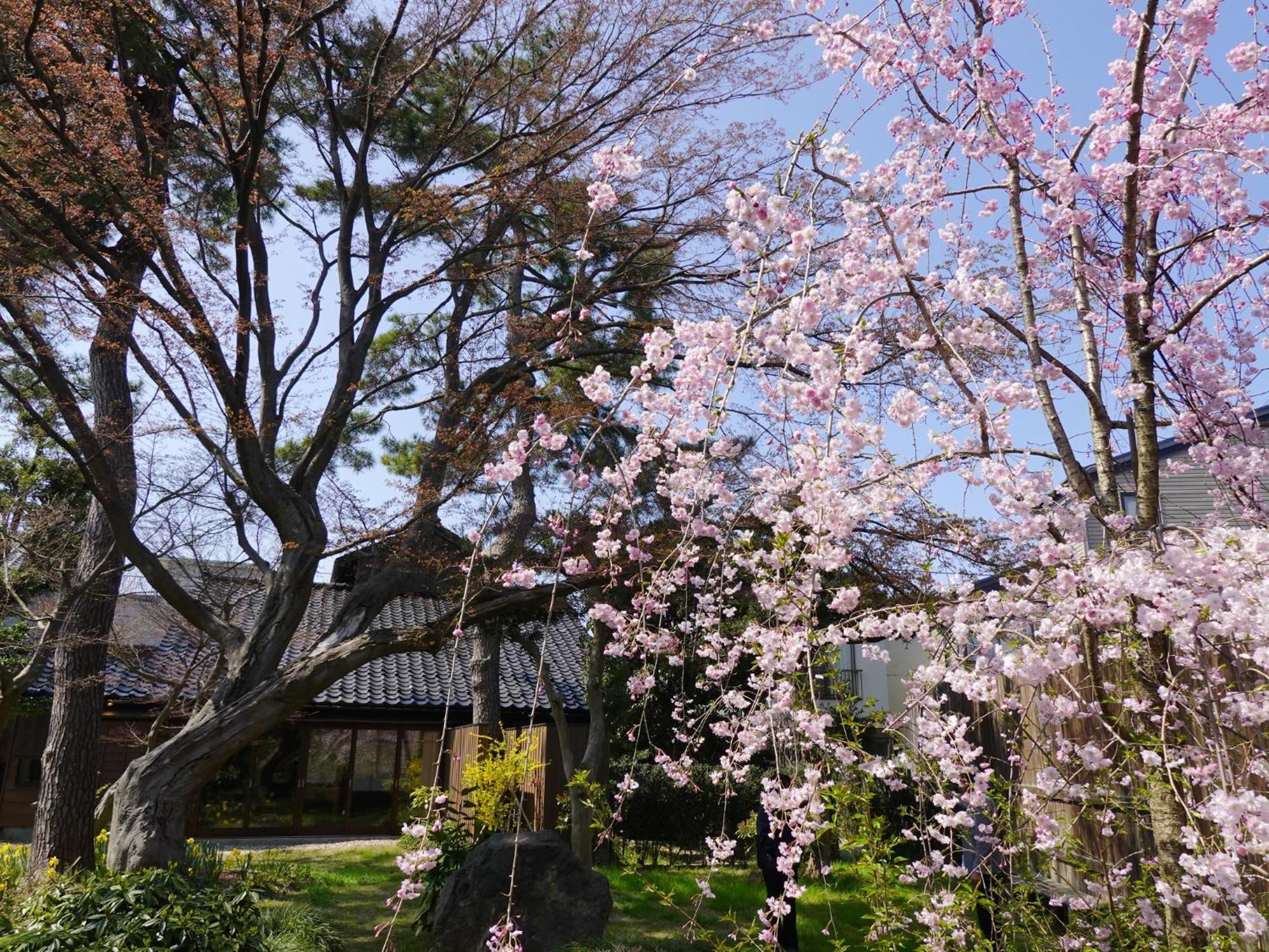 Hotel Machi No Odoriba Kanazawa Exteriér fotografie